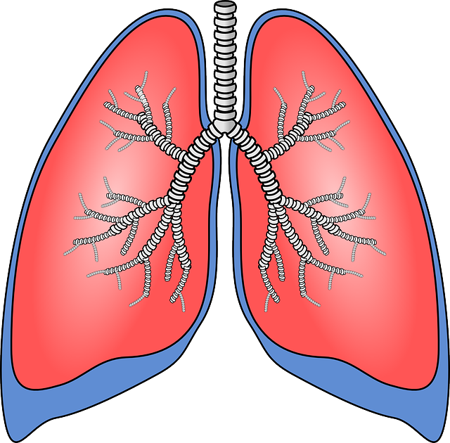 Best Lung Specialist Clinic in Mumbai