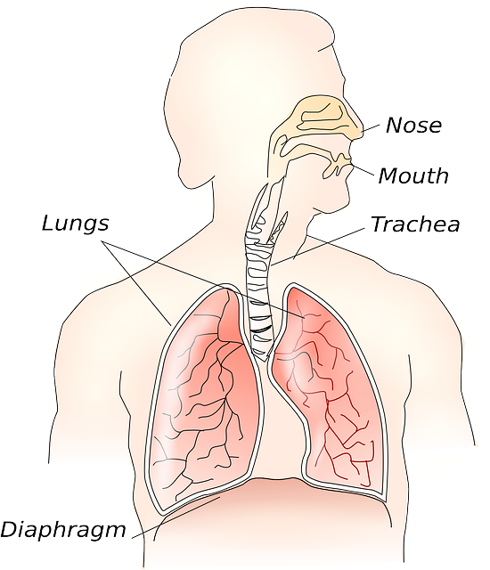 Best Lungs Specialist in Malad